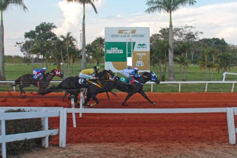 My Jess For Me cruza em primeiro na final do GP Torneio Início