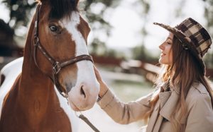 Pesquisa aponta que é benéfico falar com cavalos como se fala com um bebê