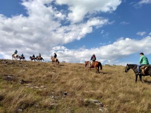 Uma viagem a cavalo pela região de Lages