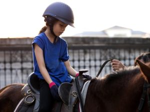 Utilização do cavalo na área de saúde data de milênios