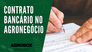 Veja dicas de contrato bancário para produtor rural