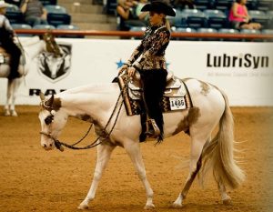 Western Pleasure reúne elegância e equitação apurada