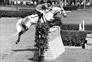 Como surgiu o Hipismo?