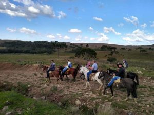 Benefícios de se viajar a cavalo durante a pandemia