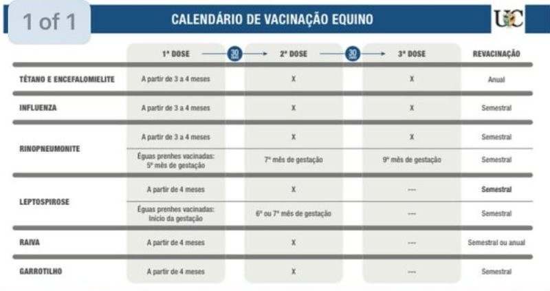 Calendário vacinal: vacinas se destinam a estimular o sistema imunológico para dar condições de se defender do agente causador da doença