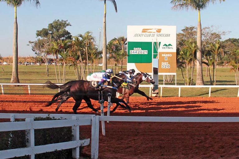 TOP 5 2021 em ganhos do Jockey Clube de Sorocaba