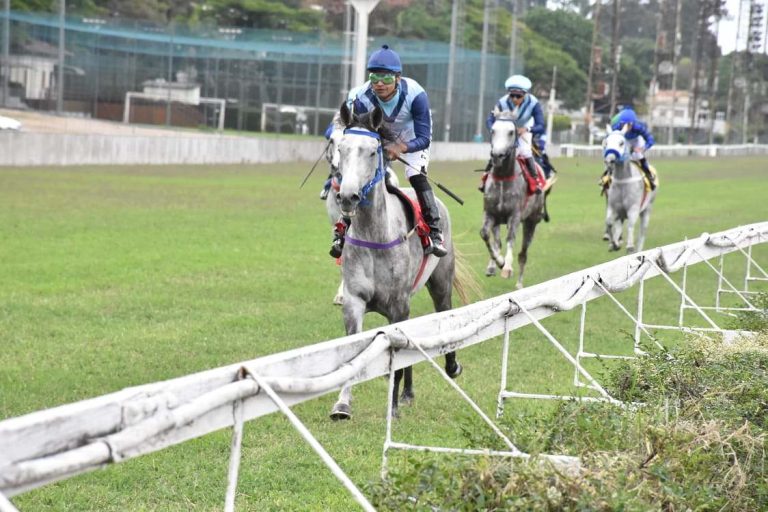 Prêmio President Cup Séries marca a retomada de corridas do Cavalo Árabe