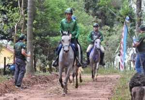 Programa do Cavalo Árabe vai ao ar nesta quarta-feira