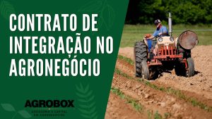 Saiba o que é contrato de integração no agronegócio