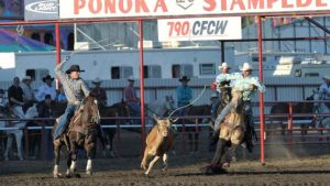 Você sabia que o Team Roping profissional não tem força no Canadá?