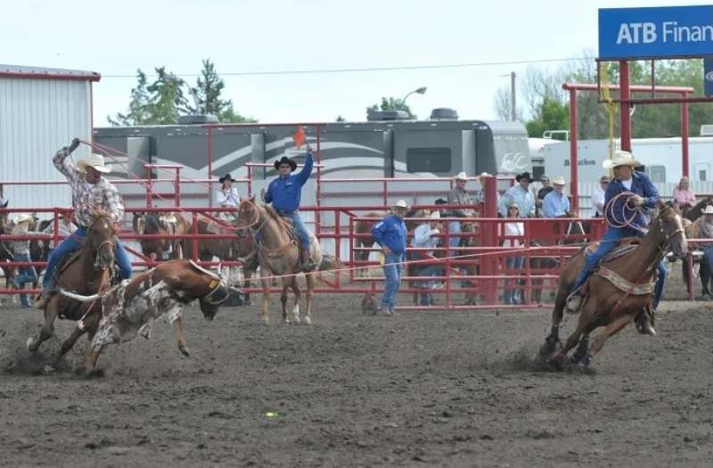 Por exemplo, no famoso e tradicional Calgary Stampede, rodeio centenário, nunca houve uma competição de Team Roping até hoje na programação