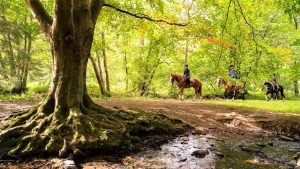 Cavalgada e Cultura Equestre – Escócia