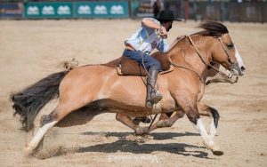 Cavalo Crioulo segue agenda movimentada em diversas cidades