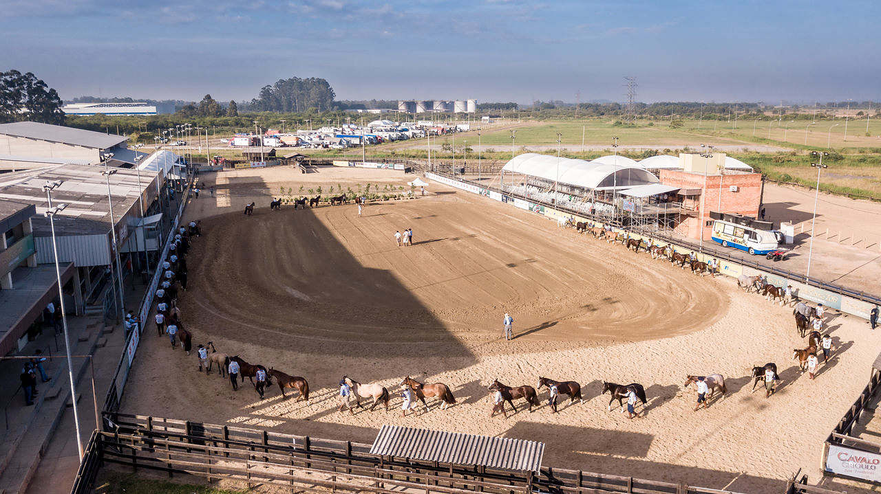 Com acesso restrito, provas do cavalo Crioulo voltam em Esteio