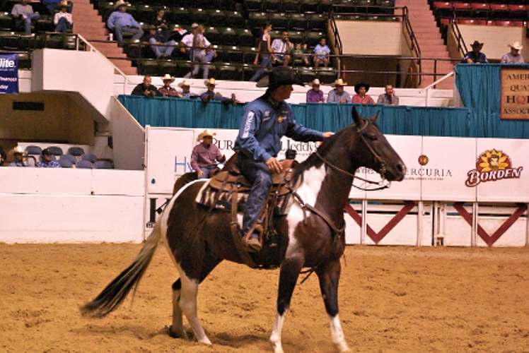 Paint Horse, Deltas Color foi um dos cavalos que brilhou no começo de carreira do treinador de Apartação e Working Cow Horse Boyd Rice