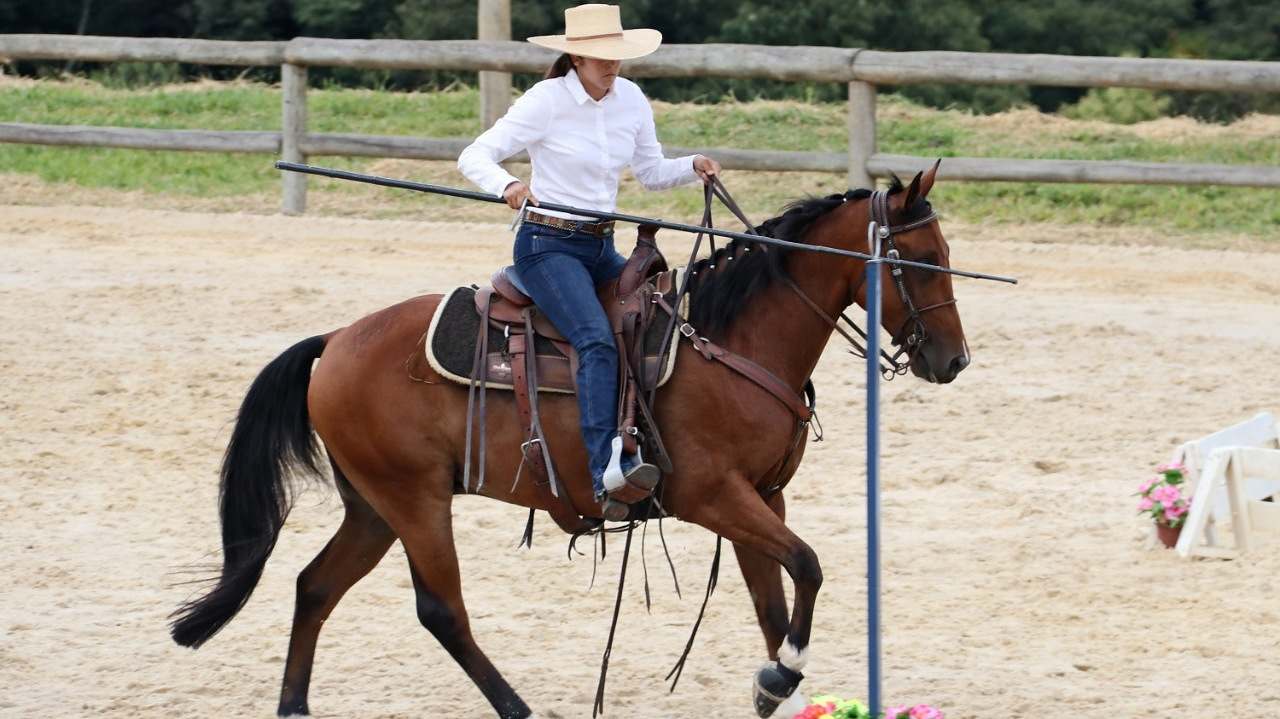 Disputas acirradas marcam 2ª etapa do campeonato de Equitação de Trabalho