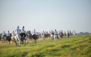 Enduro Equestre é um dos sete esportes hípicos regulamentados