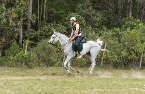 Equipe brasileira de Enduro marca presença no Programa do Cavalo Árabe