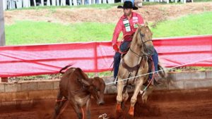 Paixão de família: laçador Robledo Junior conta sua trajetória