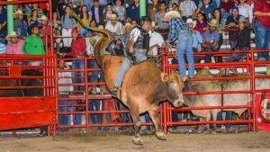 Valdenilson Aparecido Pereira se sente realizado como bullrider