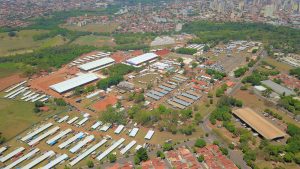 Começou o 30° Congresso Brasileiro de Quarto de Milha