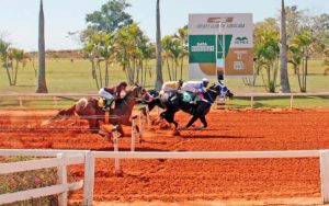 Vitória de My Jess For Me no GP America Futurity