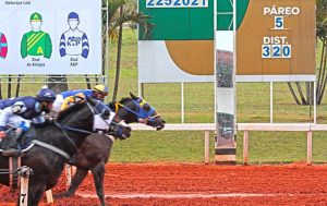 Wonder Rose FJM confirma boa fase e vence GP Sorocaba Futurity