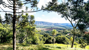 Mão de obra, o gargalo do meio rural