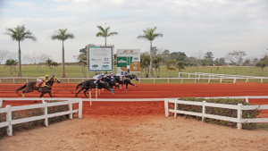 Cartel To Fly Mrl é o campeão do GP ABQM Rei da Velocidade