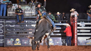 Ekip Rozeta realiza competição durante ‘Live Rodeio Show’