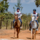 Enduro Equestre: 50 conjuntos participam da a prova CEI 3* 140km de Enduro Equestre no Haras Minas Gerais Endurance