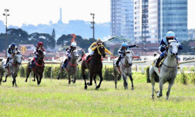 GP do Cavalo Árabe homenageia um dos maiores incentivadores da Corrida da raça no Brasil