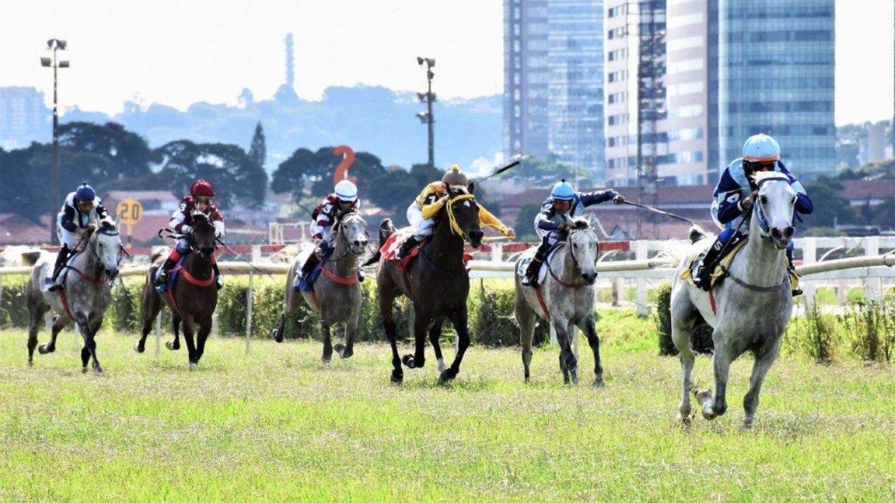 GP do Cavalo Árabe homenageia um dos maiores incentivadores da Corrida da raça no Brasil