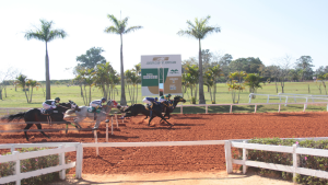 GP Megarace, um dos maiores da América Latina distribui bolsa de R$555 mil