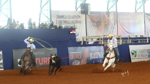 Haras Fazenda Mosquito mostra toda versatilidade de sua criação durante Congresso ABQM