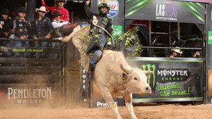 José Vitor Leme assume primeiro lugar da PBR após etapa em Las Vegas