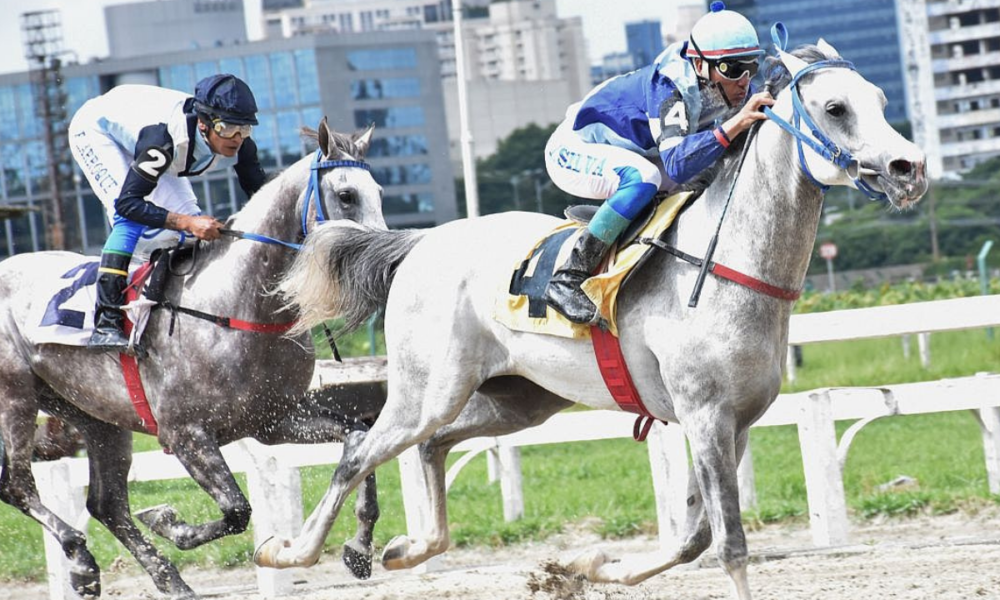 Trata-se de um dos Grandes Prêmios mais tradicionais do Cavalo Árabe, em 1.400 m na pista de grama, valendo uma bolsa de R$ 20 mil