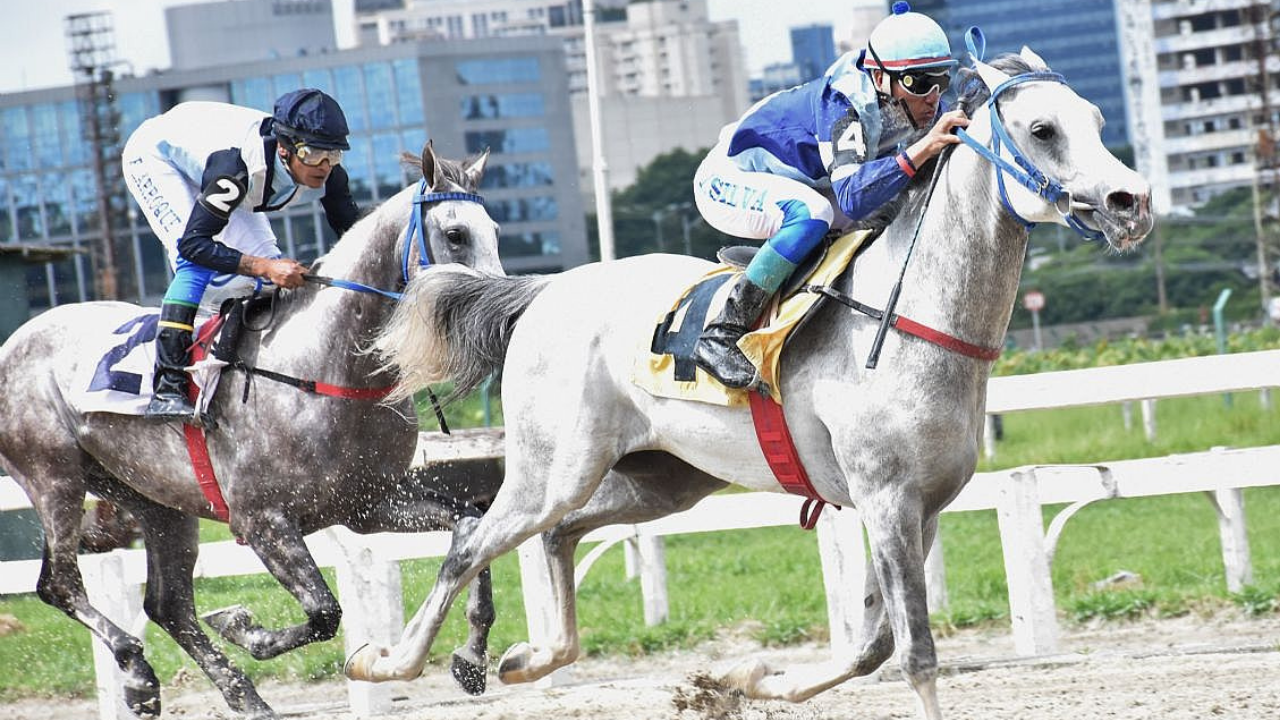 Trata-se de um dos Grandes Prêmios mais tradicionais do Cavalo Árabe, em 1.400 m na pista de grama, valendo uma bolsa de R$ 20 mil