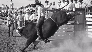 Paul Mayo revolucionou o Bareback Riding com a técnica Estilo Mayo