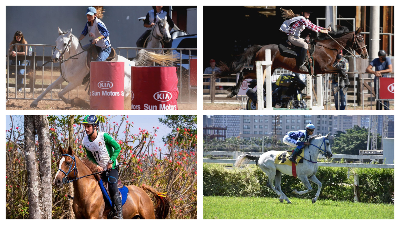 Programa do Cavalo Árabe traz novidades para os amantes dos esportes com a raça