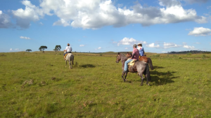 Turismo equestre exclusivo reúne benefícios que vão além de um atendimento único