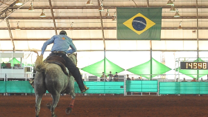 Estão abertas as inscrições para o 45º Campeonato Nacional do Quarto de Milha