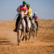 Cavalo Árabe em disputa pelo Festival Internacional e IV Etapa do Paulistão de Enduro Equestre neste fim de semana