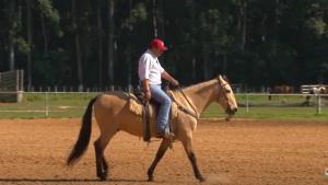 Cavalo que dispara ou pula ao galopar