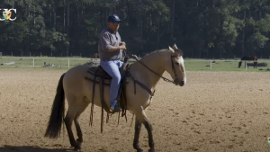 ‘Cavalo ruim de boca’ pode estar relacionado a outros fatores e quase nada com a boca