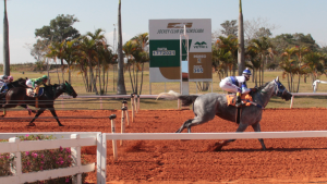 Fantastic Fly Apollo vence II GP Derby no Jockey Club de Sorocaba