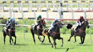 Fêmeas da raça Árabe disputam Prêmio UAE Presidente Cup Series – Maiden Horses