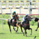 Fêmeas da raça Árabe disputam Prêmio UAE Presidente Cup Series - Maiden Horses neste sábado