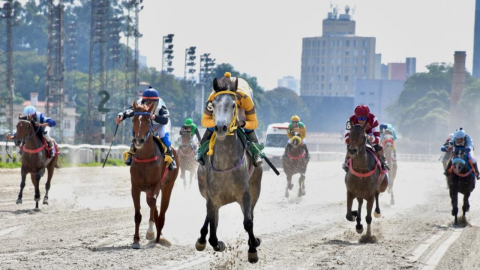 Prêmio UAE President Cup Series Fillies II movimenta a pista de areia do Jockey Club de São Paulo