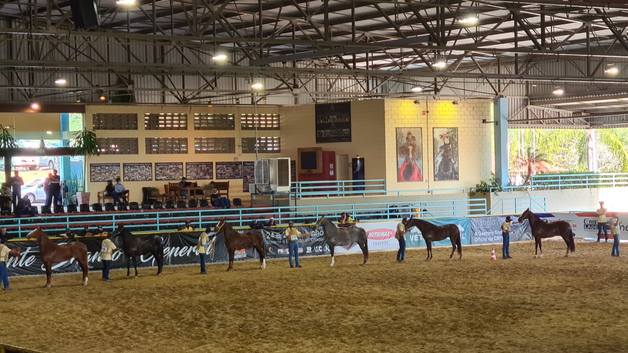 Vetnil investe na equinocultura e incentiva os esportes equestres no Brasil